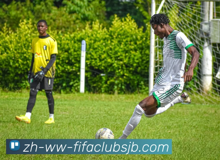 世界杯赛程平台生态图